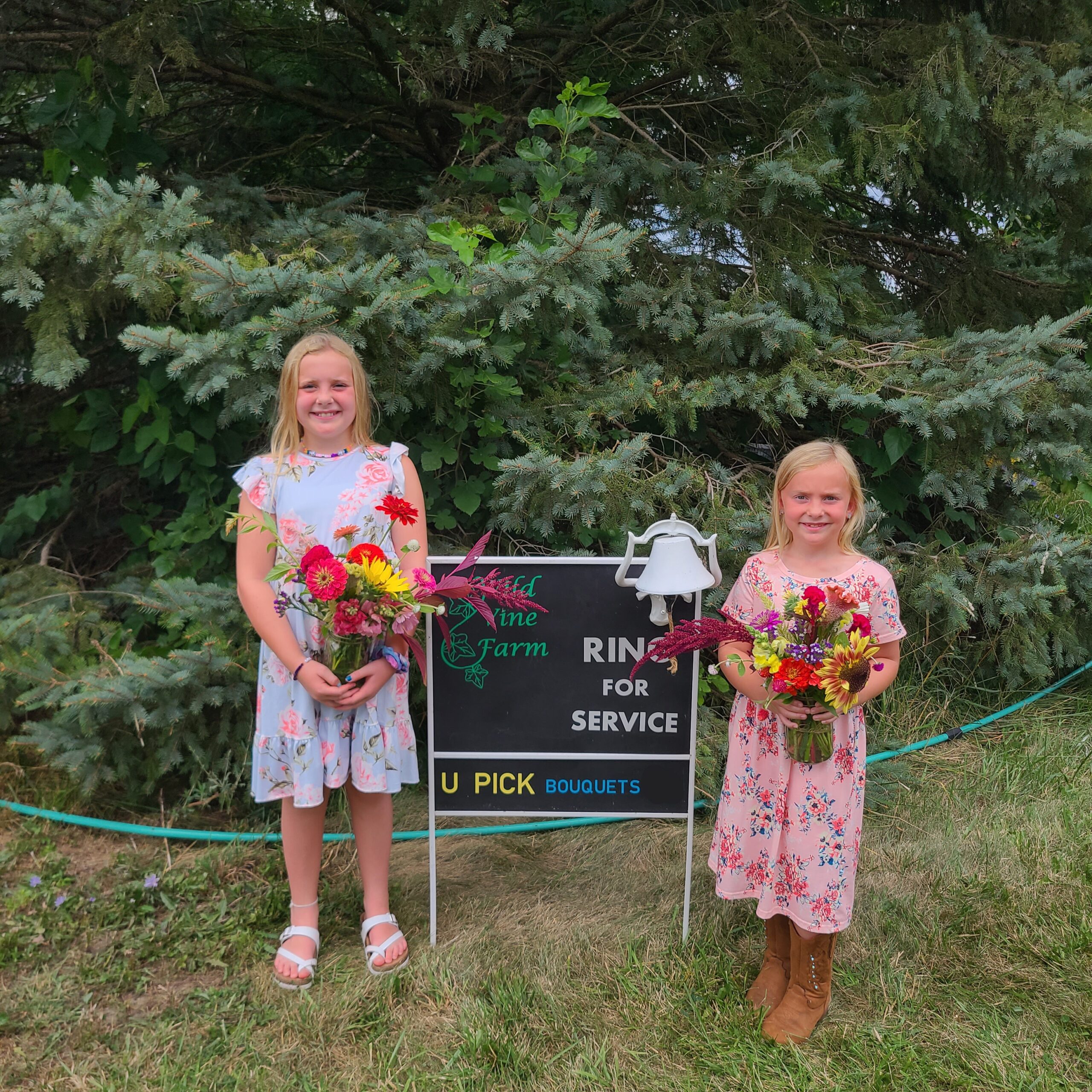 Family Days in the U-Pick Flower Field - Image 6