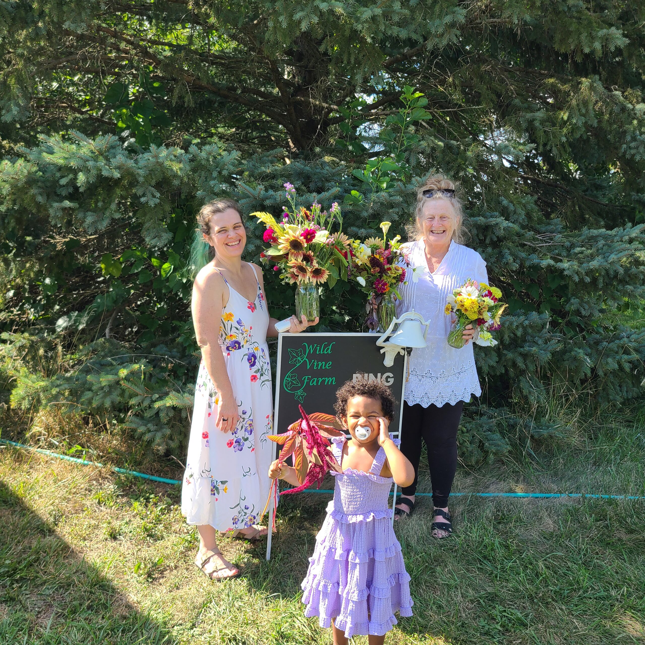 Family Days in the U-Pick Flower Field - Image 5